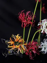 フェイクフラワー 彼岸花 ワンブランチ 花 屋内装飾 フラワーアレンジメント