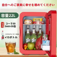 ミニ冷蔵庫 家庭用 一人用 小型 美容 母乳 保存