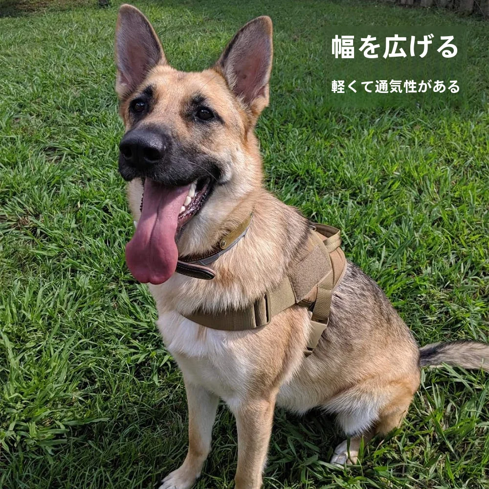 犬のお散歩グッズをコスパ良く揃える方法 - 大型犬用ハーネスの胸部サポートと引き紐付き構造