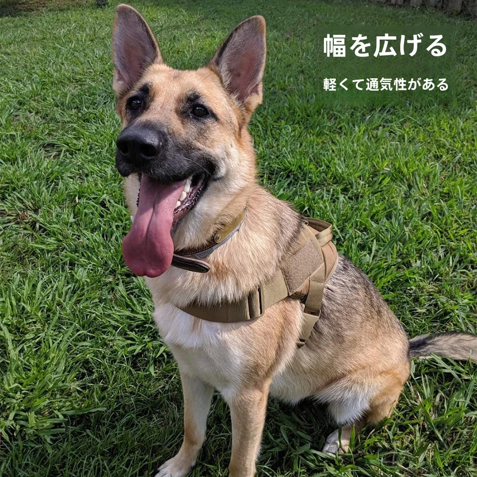 大型犬用ハーネス【胸部サポート・引き紐付き・バックリングデザイン】
