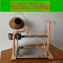 ボタンバード用 ココナッツシェルおもちゃ付き檀木スタンド【インタラクティブ訓練・遊び場用】