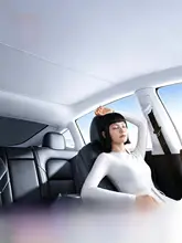 テスラ 車用サンシェード【防晒・断熱・天窓用】