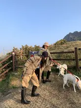 カーキ色 多ポケット ワークパンツ【高腰・スリム効果・厚手・ワイドレッグ】