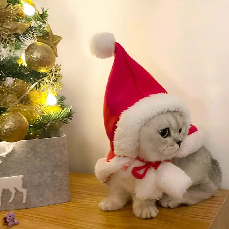猫飼いが買ってよかったもの・悪かったもの正直に言う｜冬のケープ衣装選びの完全ガイド