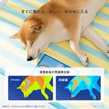 夏用 ペットクッション【ブルーストライプ・通気性の良いアイスシルク・柴犬対応】