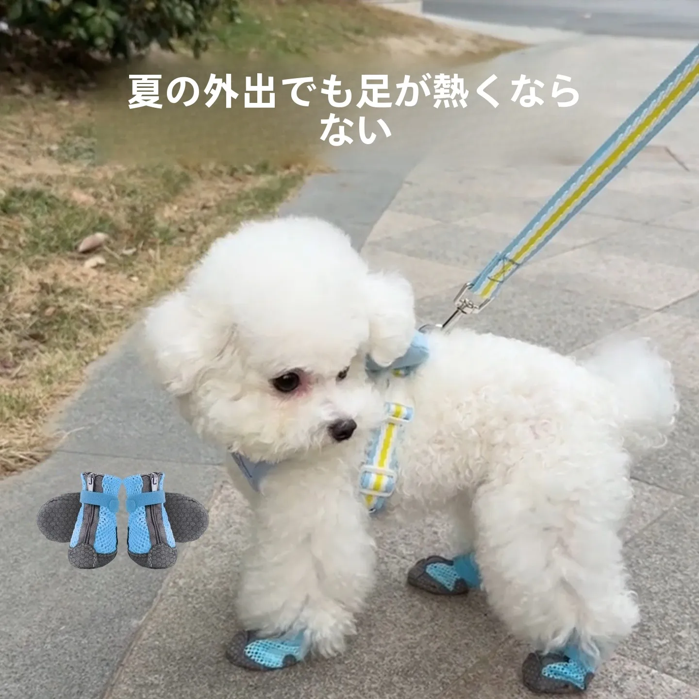 犬の散歩中に足を通さないで暑さを守るには？夏の防熱靴選びの本質とは