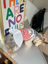 可愛い百褶裙のペットウェア【コットン・春夏用・犬猫兼用】