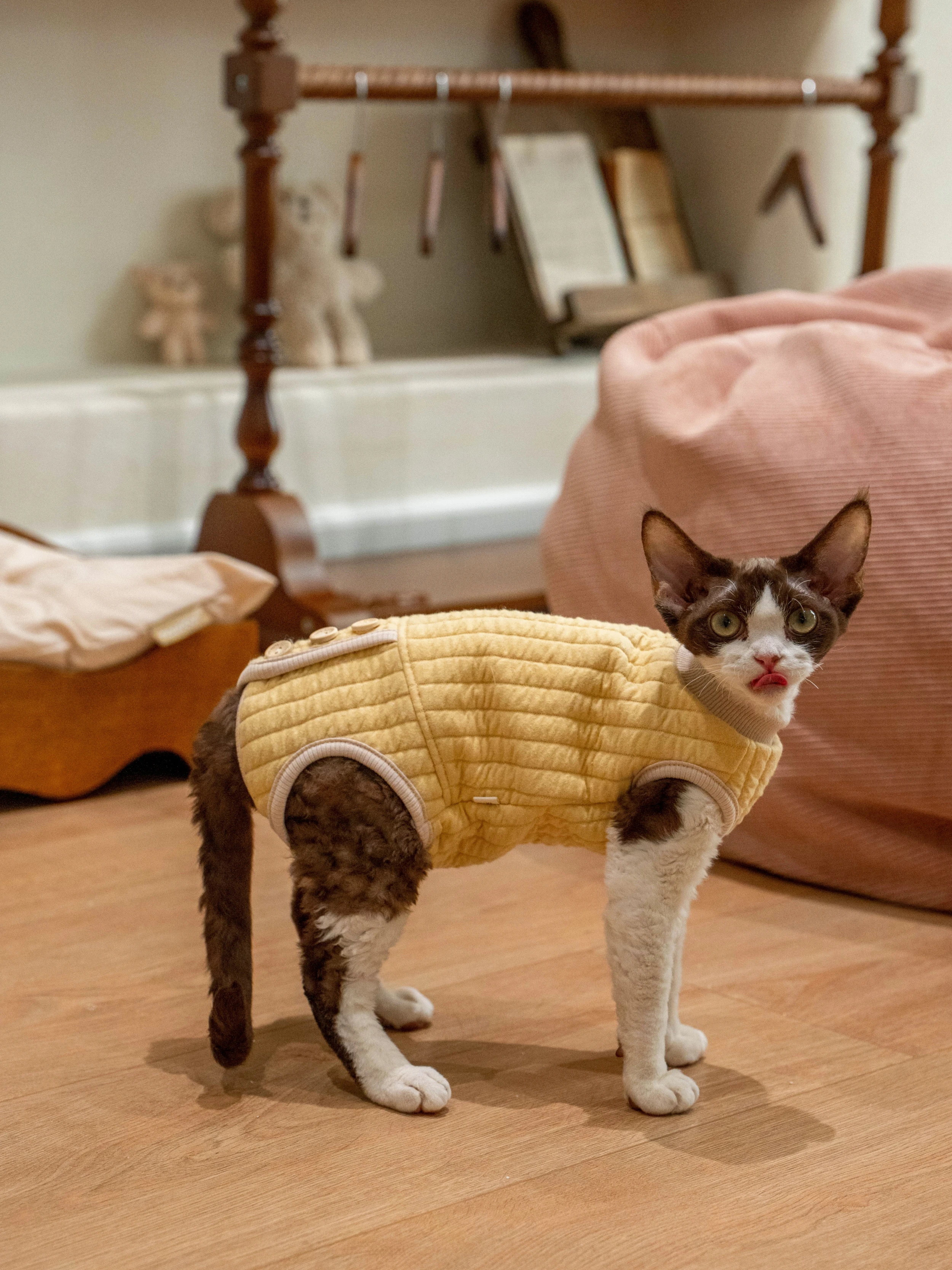 猫飼いが買ってよかったもの・悪かったもの正直に言う｜外出時の保温スウェットシャツ徹底解説