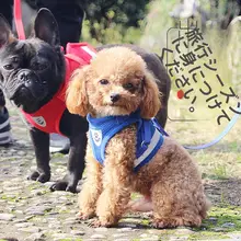 中型・小型犬用 ハーネス付きリード【ペット用・引っ張り防止・調整可能】