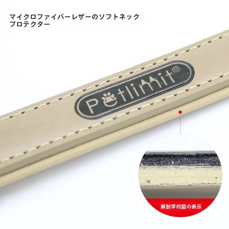 犬のお散歩グッズをコスパ良く揃える方法　完全ガイド