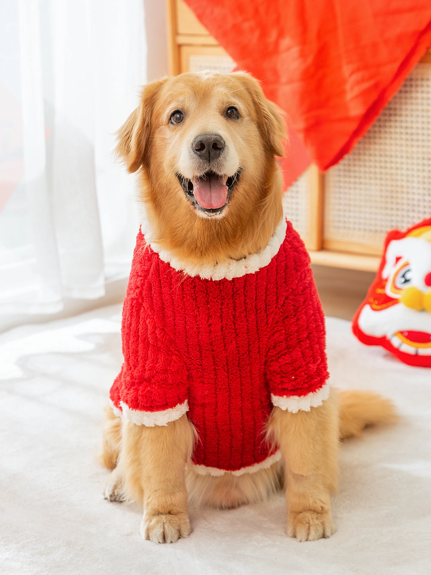 大型犬の服をどう選ぶ？冬の寒さに負けない、柴犬にぴったりのレインコートはこれ！