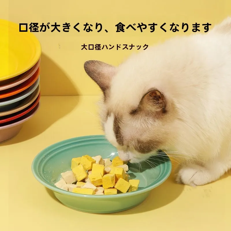 猫用陶器製食器：防倒れ設計と水・ドライフード対応の実用性を検証