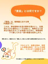 静音ウサギ毛ボールおもちゃ【猫の追いかけ遊び・耐噛み設計】