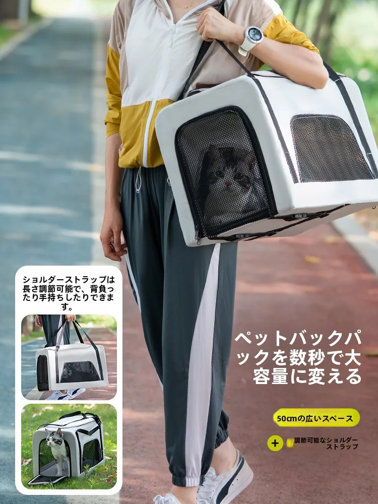 犬のお散歩グッズをコスパ良く揃える方法｜二層式キャリーカーで解決する実用ガイド