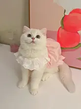 夏用 猫用可愛いワンピース【子猫用・ペット用・薄手・マカロンカラー】