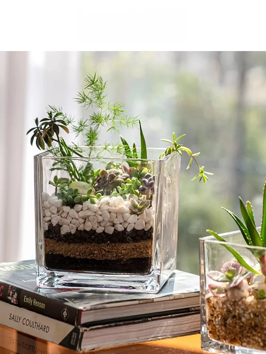 EKU PRO 角型水培花器：100均観葉植物水耕栽培の透明ガラス容器としての 実用性と設置場所選定