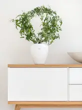 自吸水仕様の大口径植木鉢【樹脂製・多肉植物や観葉植物用】