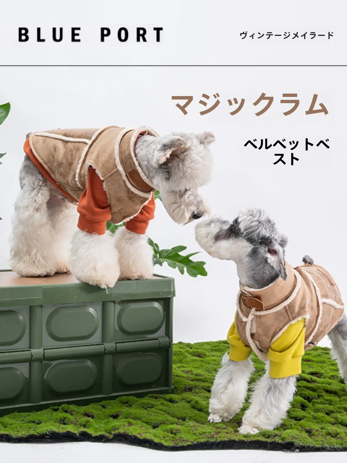 犬のお散歩グッズをコスパ良く揃える方法｜厚手スウェードコートで解決する実践ガイド