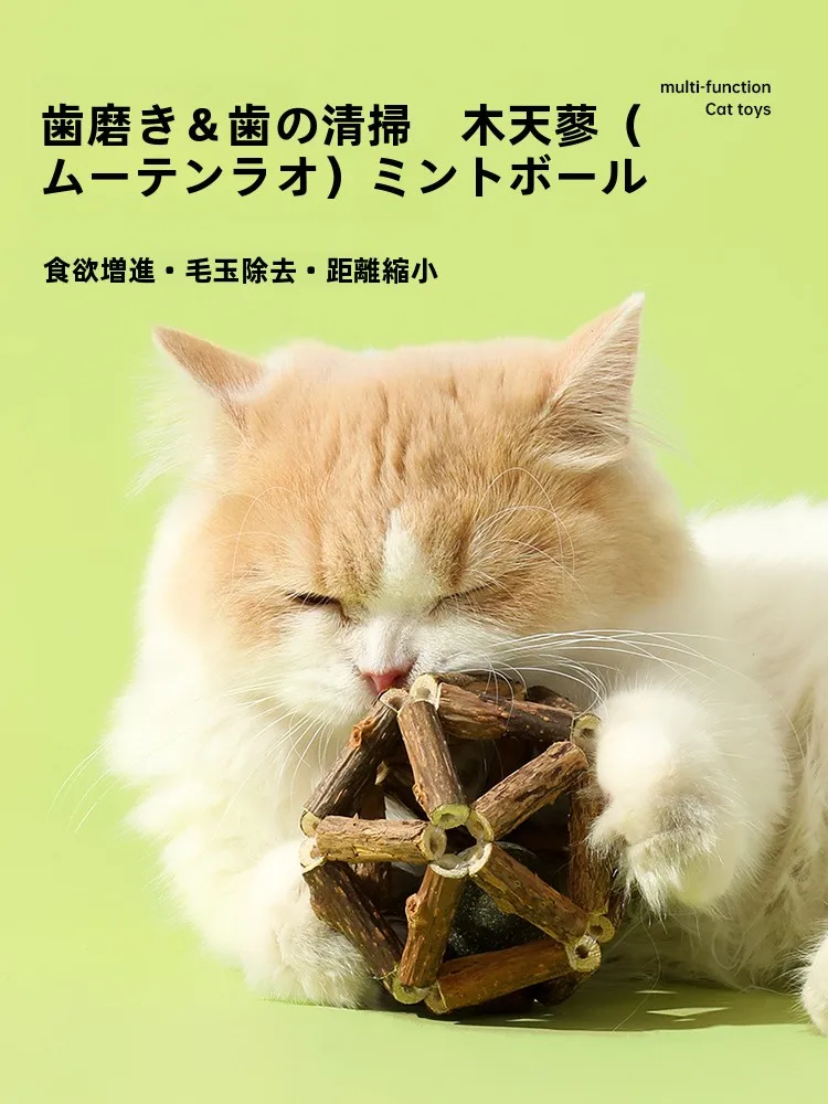 猫の遊び道具を手作りにするなら、木製のミントボールが一番？
