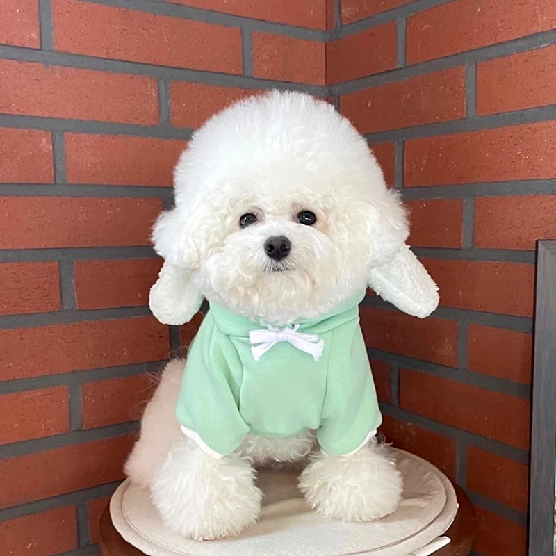うさぎ服を選ぶときに迷うのは、どんな色か？それともどんなサイズか？