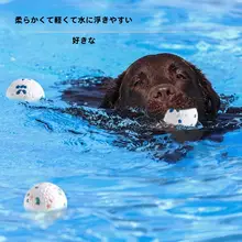 耐噛性ペットボール【大型犬用・犬の歯磨き・解消】