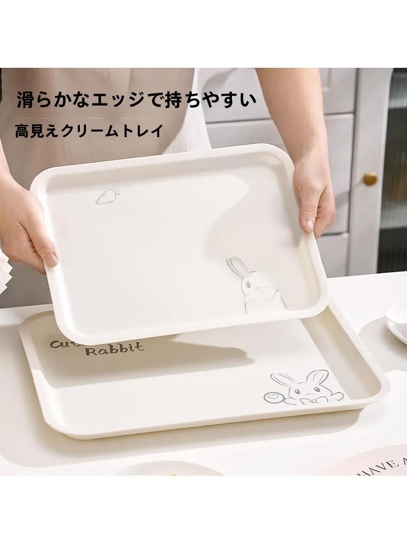 冷凍庫トレーの使い方とサイズガイド：キッチン用長方形プラスチックトレイの実用性解析