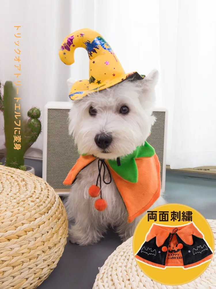 ハロウィンにペットをどうやって仮装させる？「ペット用ハロウィン帽子」がもたらす、家族の笑顔の変化とは