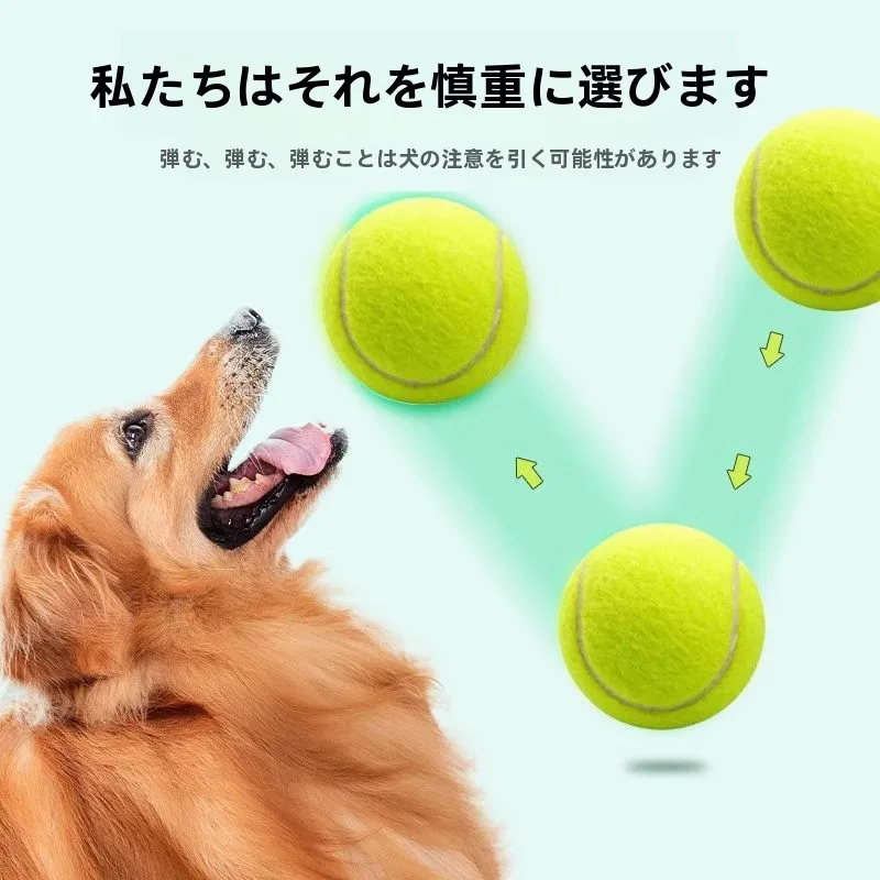 猫飼いが買ってよかったもの・悪かったもの正直に言う | ペット用耐噛みボールの定義と特性
