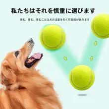 ペット用耐噛みボール【トレーニング・マッサージ・ゴム製】