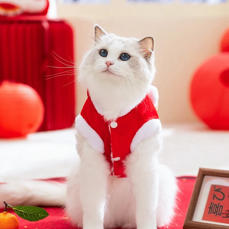 猫 ダブルコートの冬用保温衣：実用性と適応シーンを徹底解説