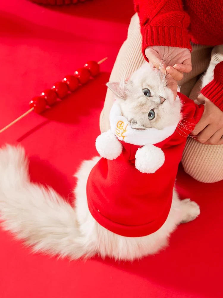 冬用フード付きヒョウ柄猫服：一人暮らし向け の保温・防毛機能を徹底解説