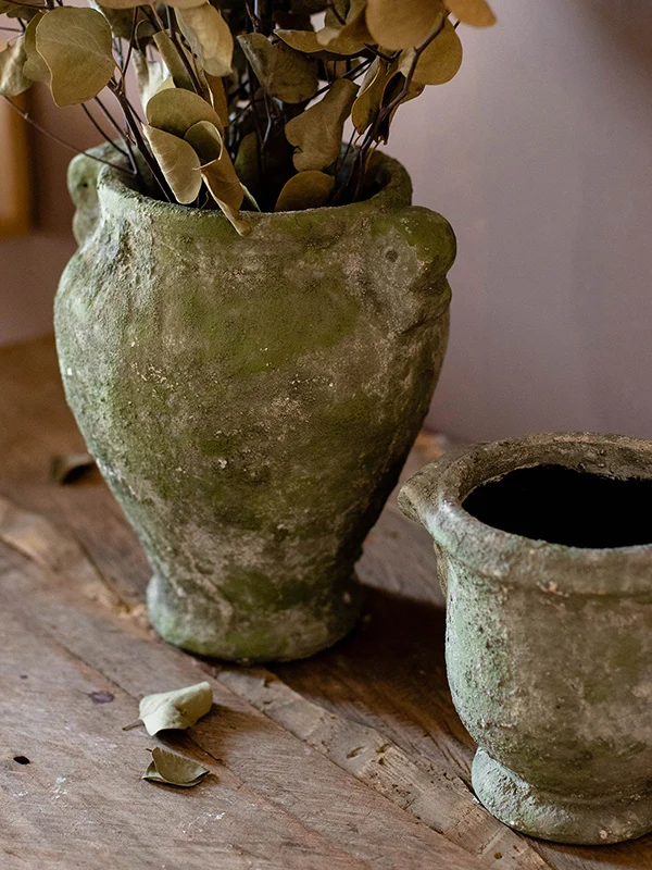 日陰でも育つ植物 屋外に適した陶器プランターの選び方