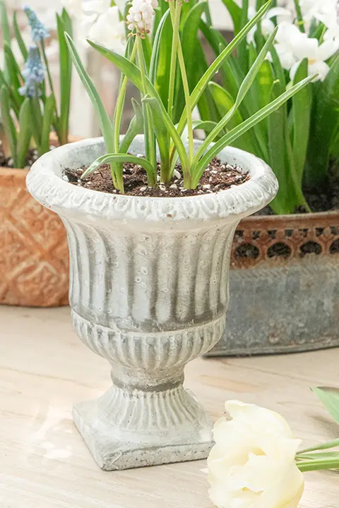 植木鉢 多肉植物用 コンクリート トロフィー型 脚付き ヴィンテージ加工 ローマ風 フラワーベース テーブルデコ ナチュラル インテリア