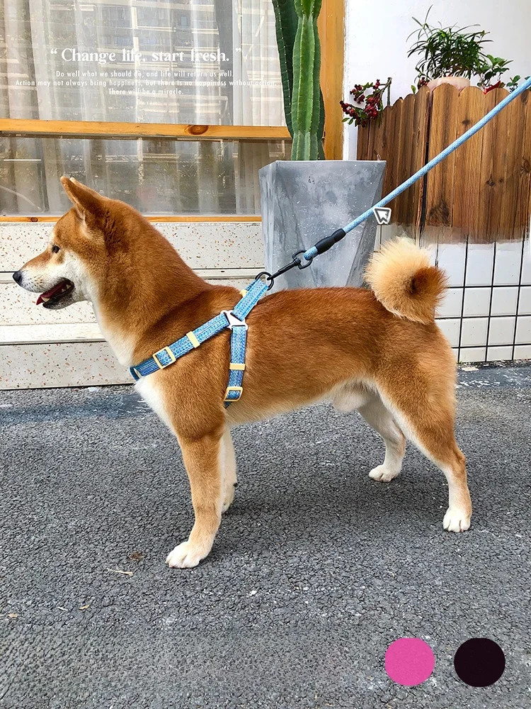 小型犬用工字型ハーネス：防爆・引き抜き防止設計で柴犬・シュナウザーにも対応