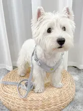 猫用・犬用ハーネスリード【逃げ防止・胸部タイプ】
