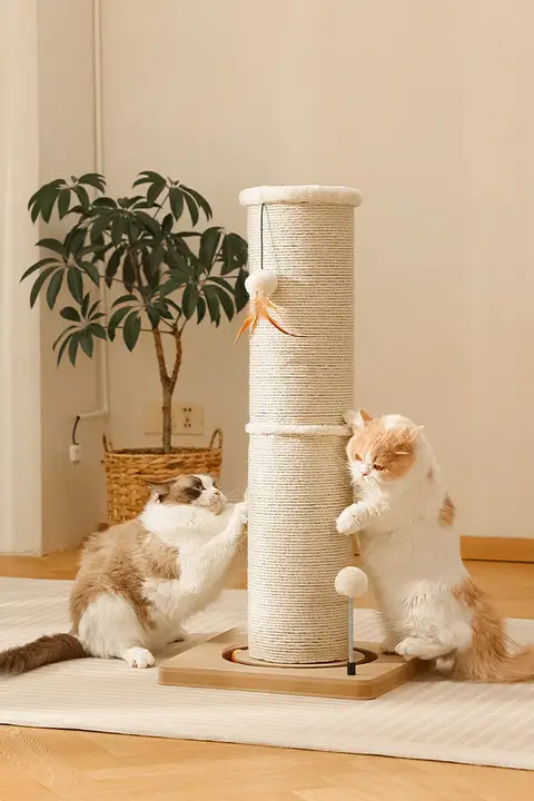 キャットタワー 猫用 耐摩耗 コルク材 立式 デザインが良い