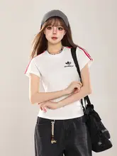 ストライプレースパネルの短袖Tシャツ【女性用・フィット感・ウエストシェイプ】