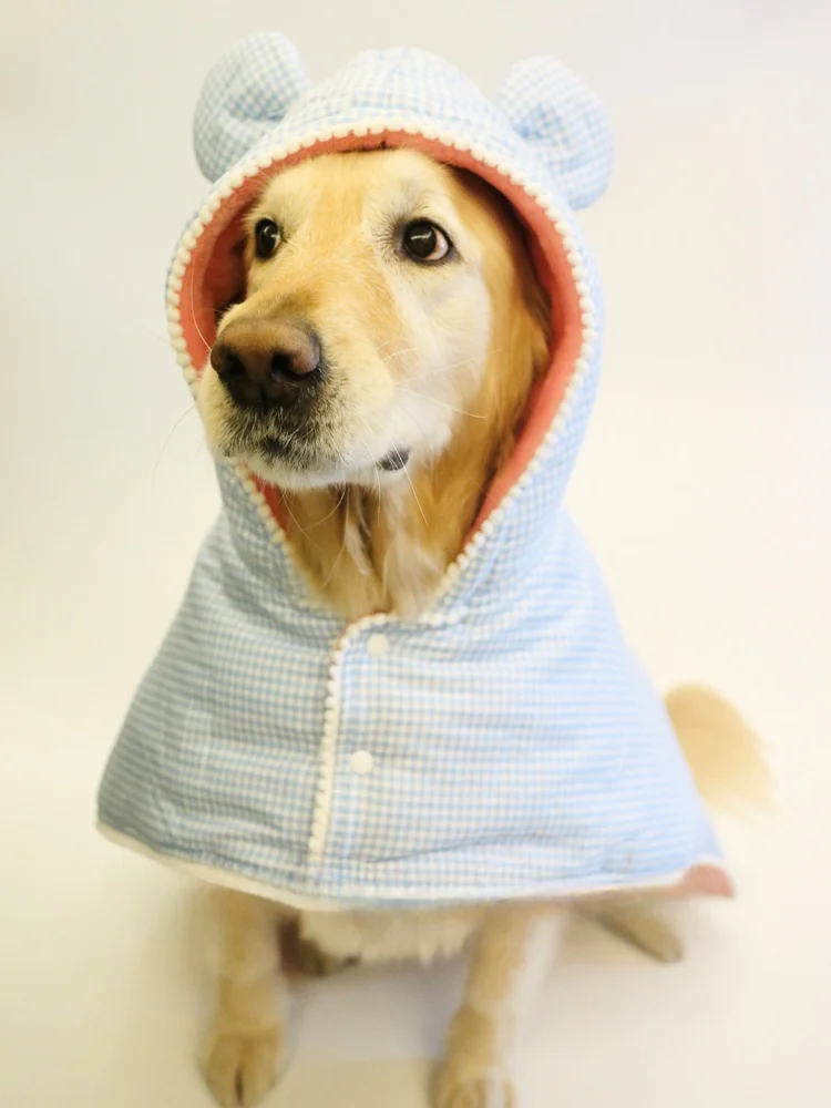 犬用防寒スリーブ：コーギー・テディ・ゴールデンレトリバー向けの秋冬対応アイテム