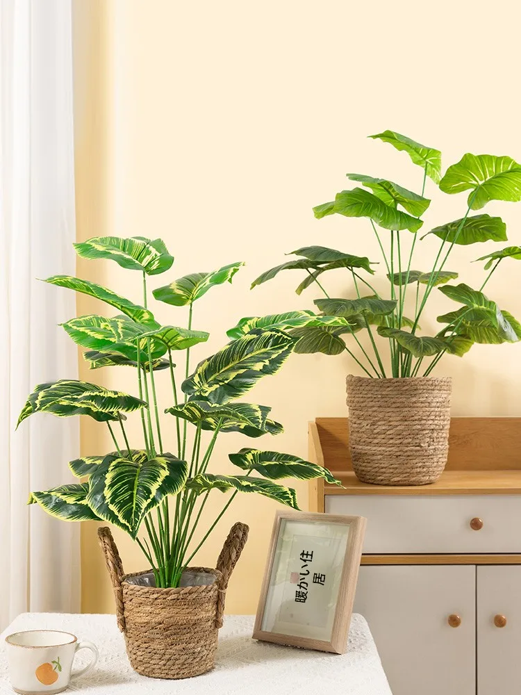 インテリア買い物リストの作成ガイド｜IKEAと無印良品の比較で失敗しない空間づくり