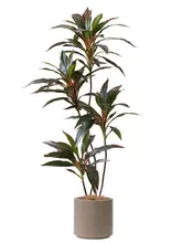 フェイク植物 リビングに適した 鉄製の小葉赤縁偽木 現代的なラグジュアリー 装飾品
