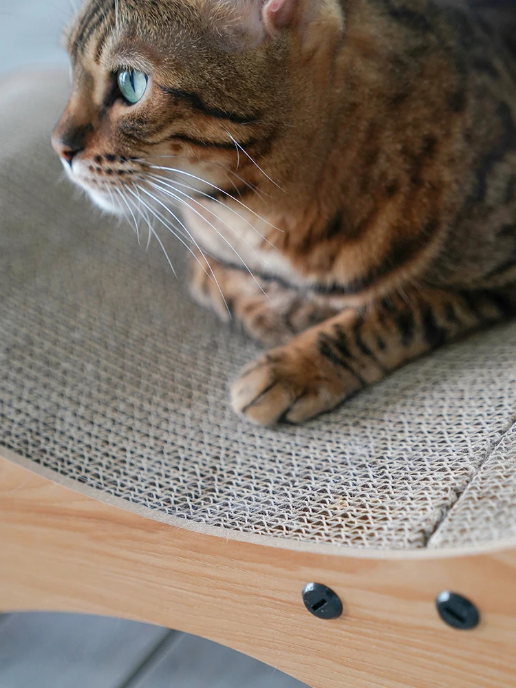 宅猫酱 ペット用キャットソファ兼爪研ぎボードの実用性と使い勝手を徹底検証