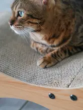 宅猫酱 ペット用キャットソファ兼爪研ぎボード【厚手・サポート付き・猫用】