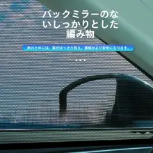 トヨタ アジアライオン 専用車 蚊よけ まどあみど