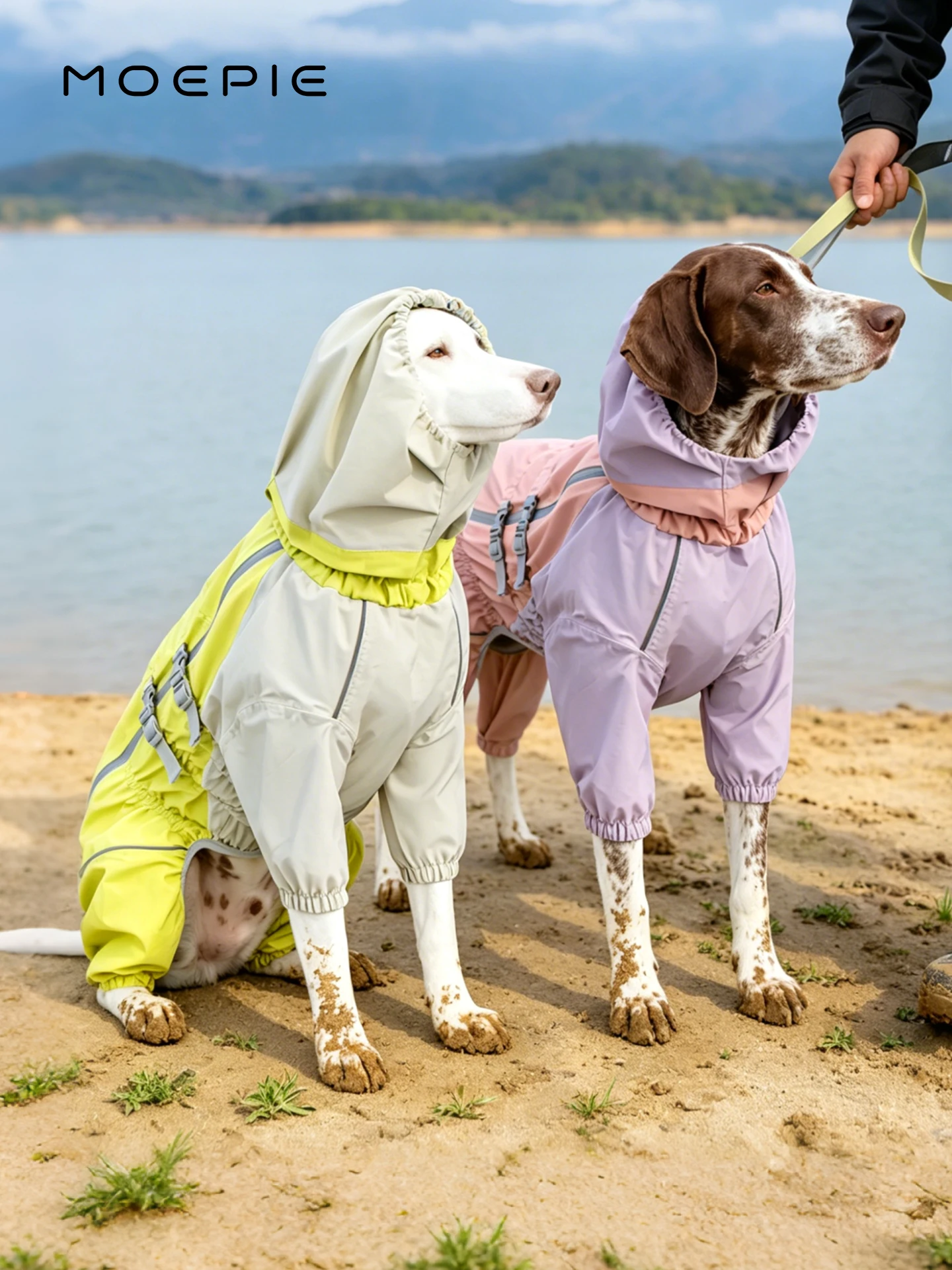 犬用防水レインコート：柴犬や中型犬向けの全身カバーが実用性を実現