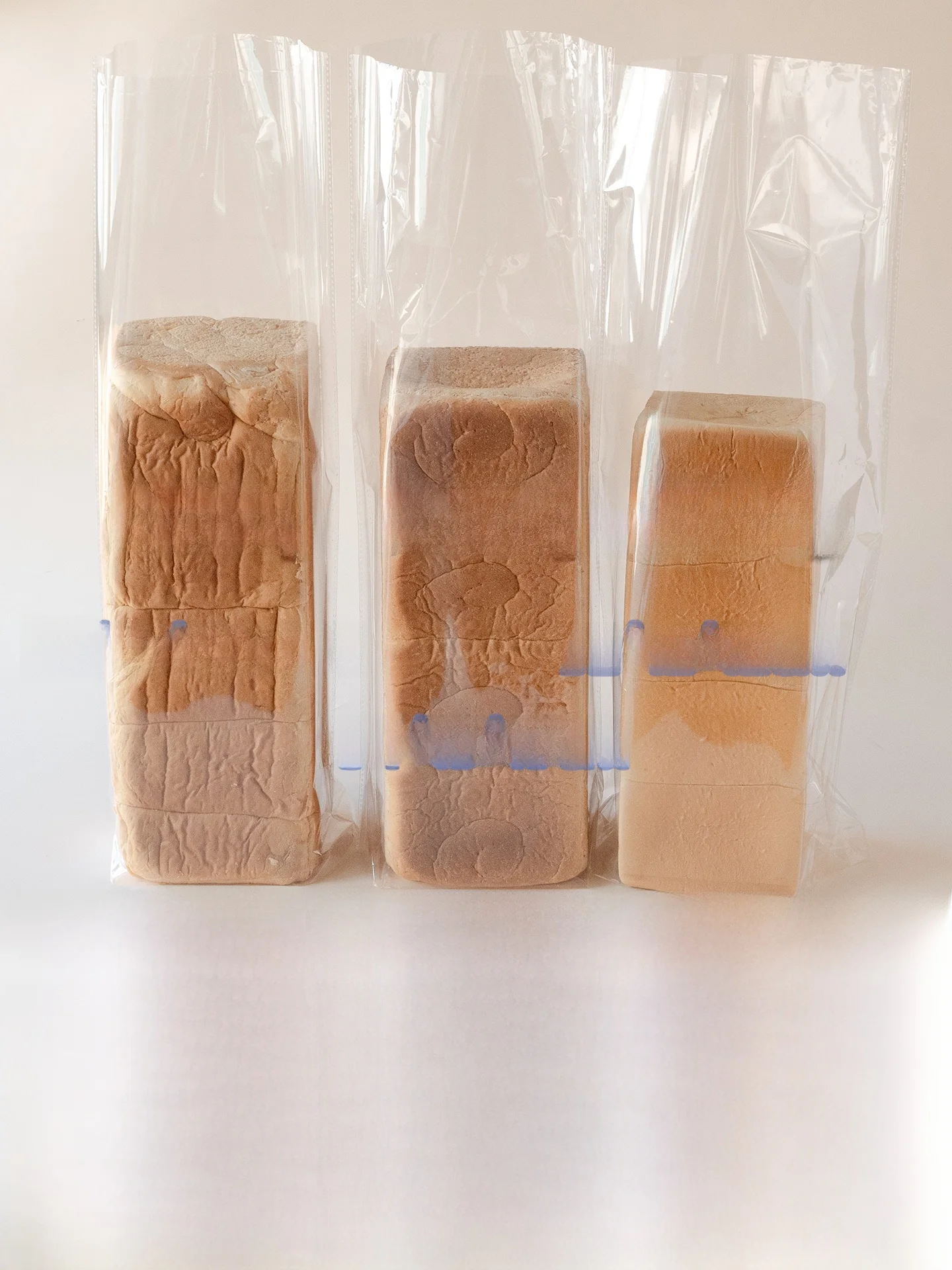 パン缶とは何か？実は、パンを保存するための「魔法の袋」が今、日本のキッチンに登場している