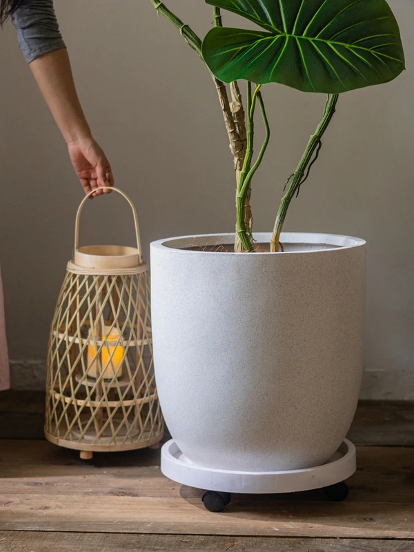 大口径ラウンド花盆：観葉植物用のマグネシウム泥製トレー付きプランターの実用性と使い方