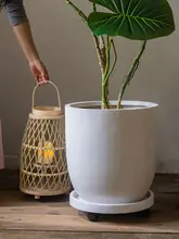 大口径のラウンド花盆【トレー付き・マグネシウム泥製・観葉植物用】