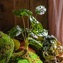 アートフィモンステラ風ミニ観葉植物【卓上装飾用・北欧スタイル】