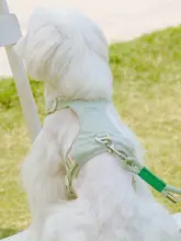 小型犬用 胸部ハーネス付きリード【ミニチュア犬用・テディベア・マルチーズ・ビションフリーゼ対応】