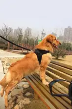 愛犬用ハーネス型リード【中大型犬用・ゴールデンレトリバーやサモエド向け】